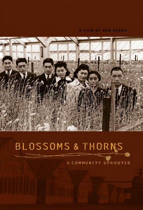 Постер: Blossoms & Thorns