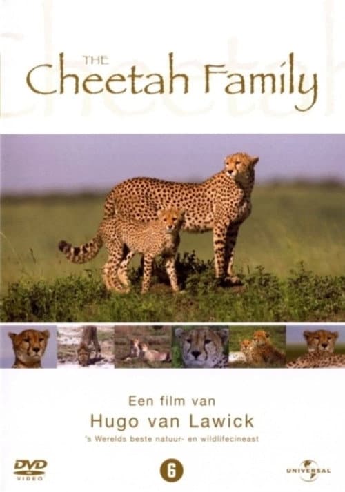 Постер: Cheetah Story