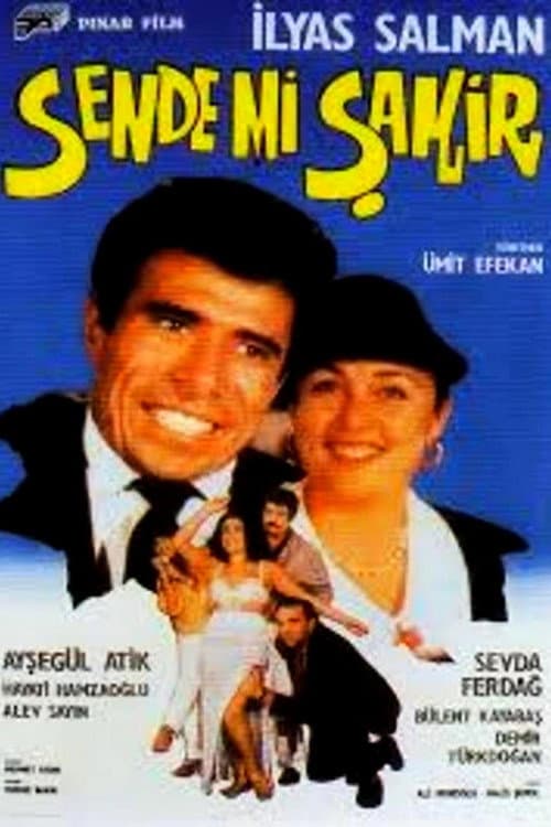Постер: Sende mi Şakir