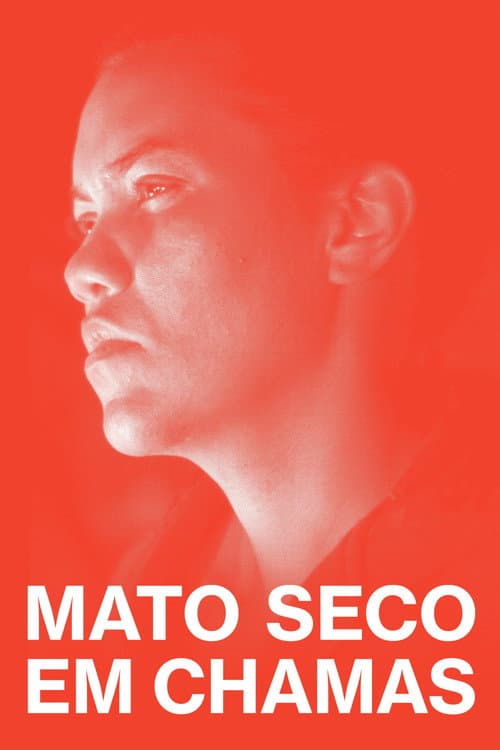 Постер: Mato Seco em Chamas