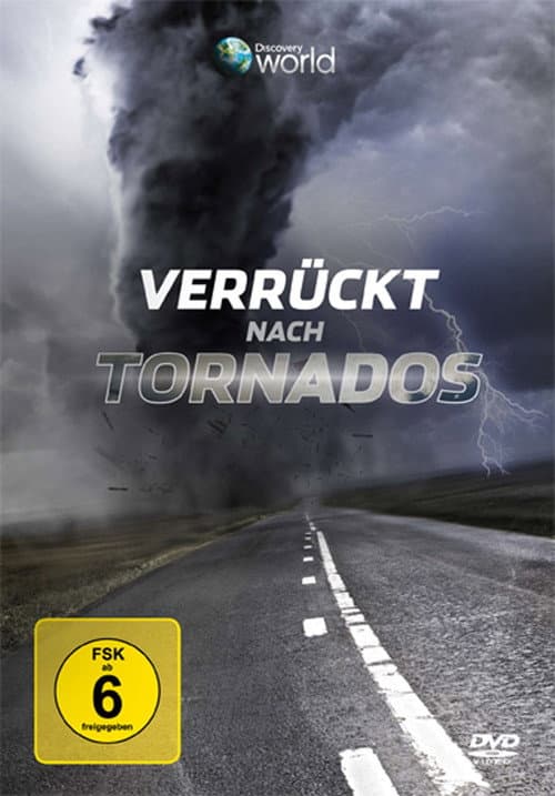 Постер: Verrückt nach Tornados