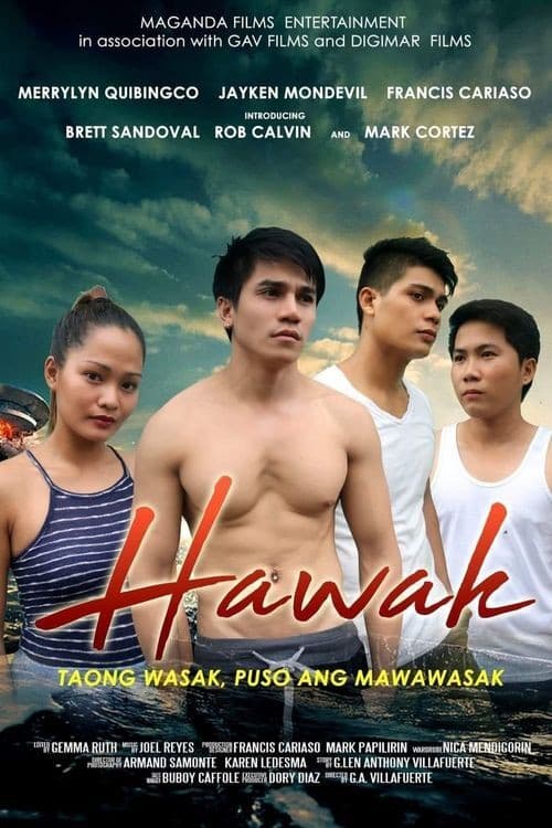 Постер: Hawak