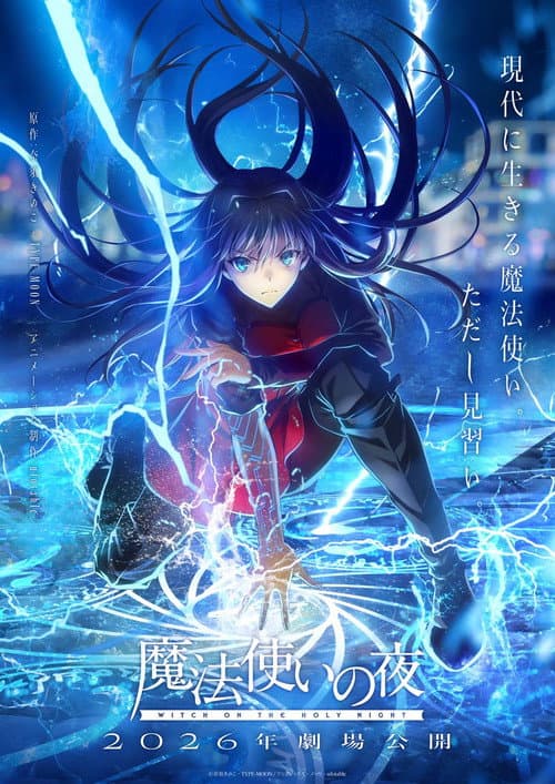 Постер: 魔法使いの夜