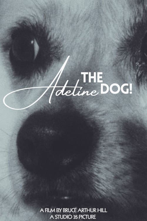 Постер: Adeline The Dog!