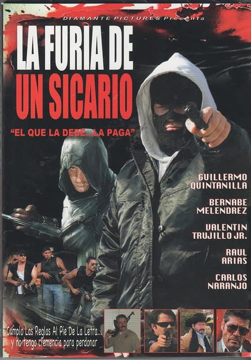 Постер: La furia de un sicario