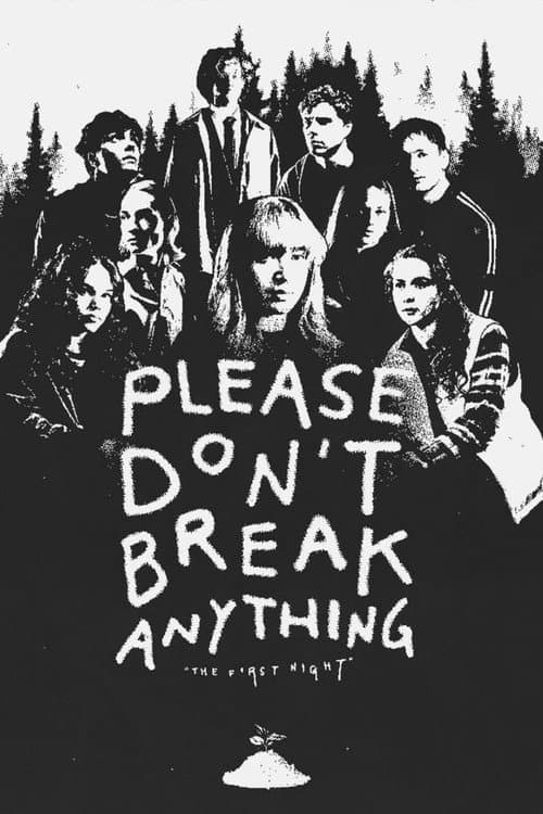 Постер: Please Don't Break Anything