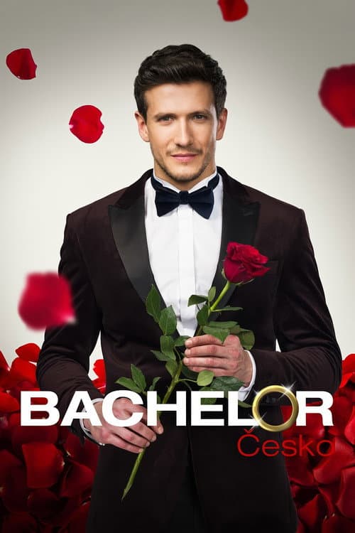 Постер: Bachelor
