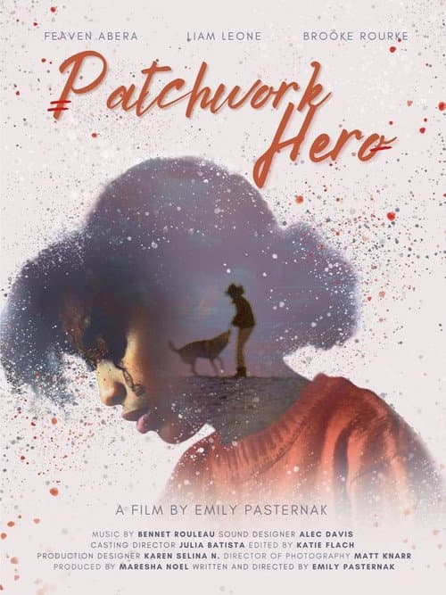 Постер: Patchwork Hero