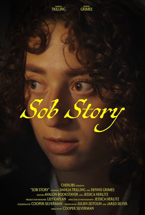 Постер: Sob Story