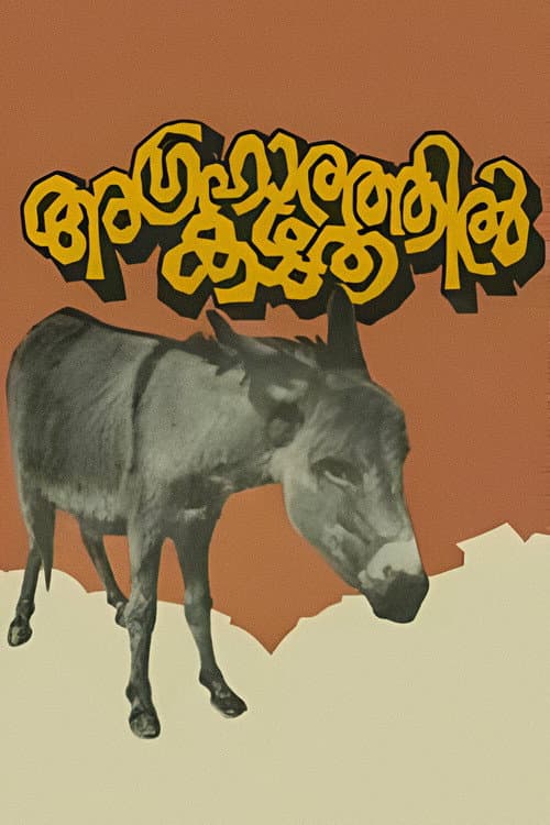 Постер: அக்ரஹாரத்தில் கழுதை