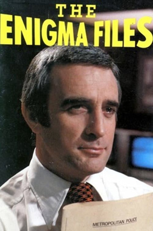 Постер: The Enigma Files