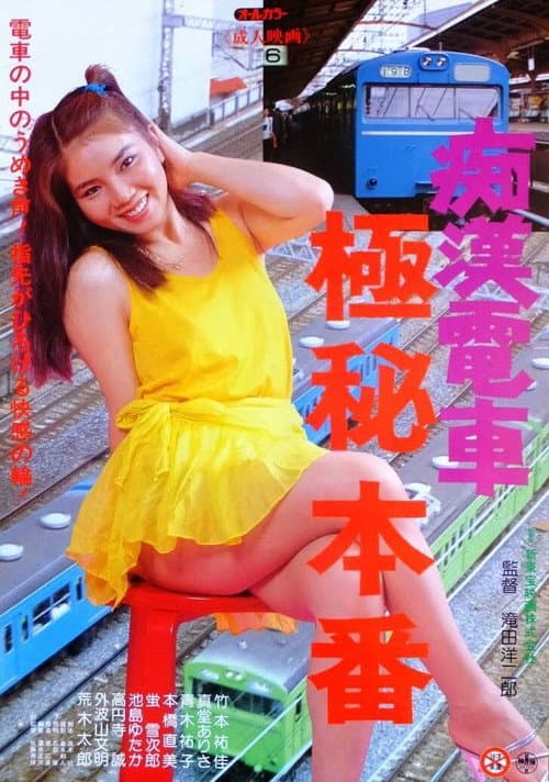 Постер: 痴漢電車 極秘本番