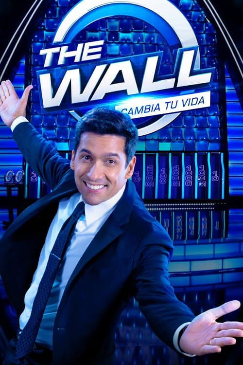Постер: The Wall