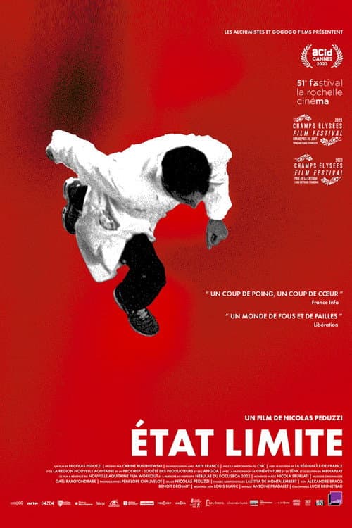 Постер: État limite
