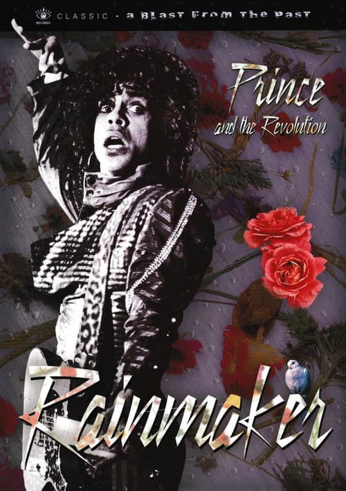 Постер: Prince and the Revolution: The Makings Of Rain