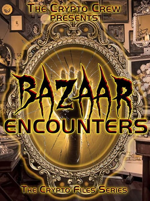 Постер: Bazaar Encounters