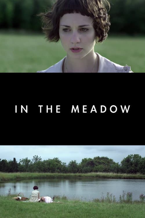 Постер: In the Meadow