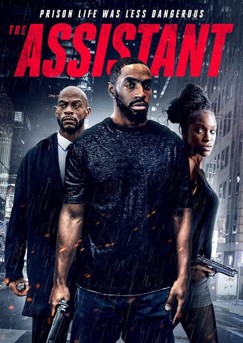 Постер: The Assistant