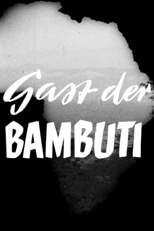 Постер: Gast der Bambuti