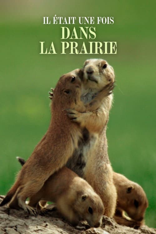 Постер: Il était une fois dans la prairie