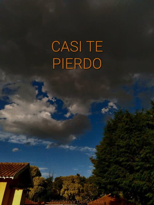 Постер: Casi te pierdo