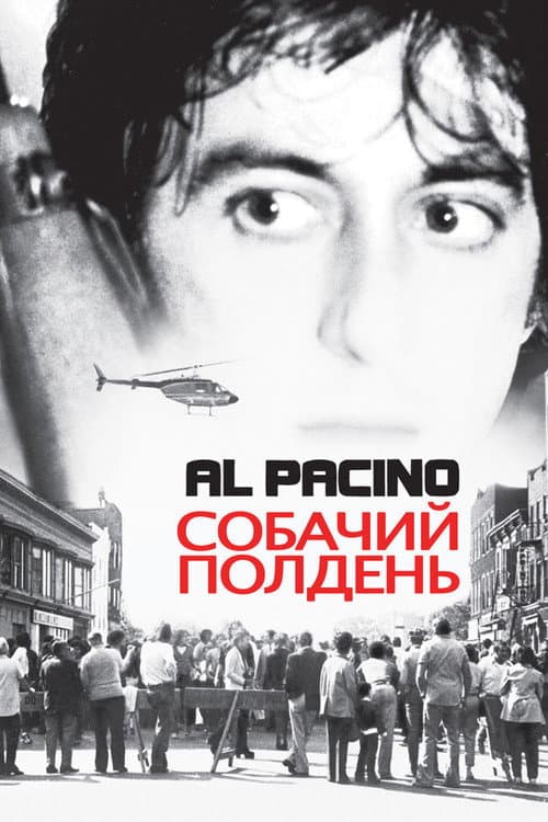 Постер: Собачий полдень