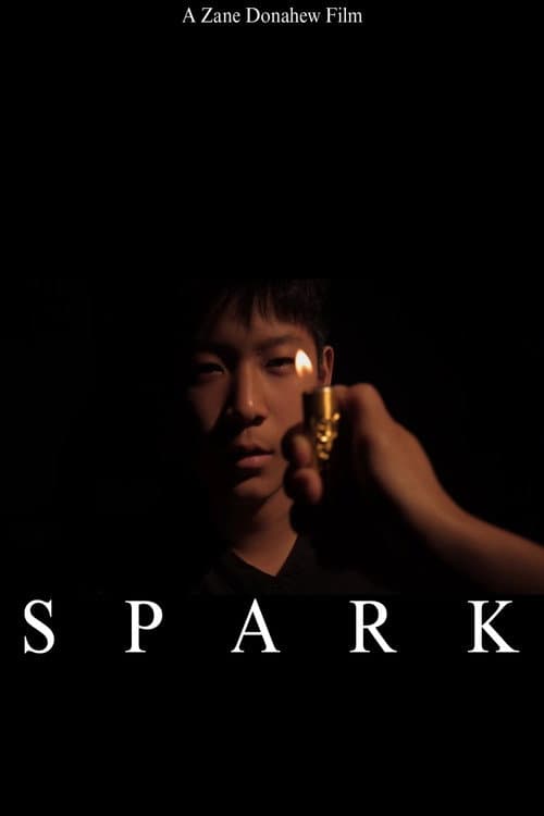 Постер: Spark