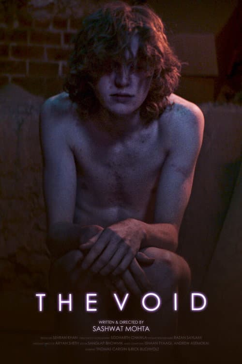 Постер: The Void