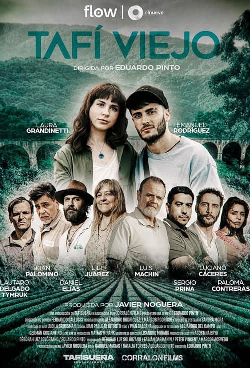 Постер: Tafi Viejo