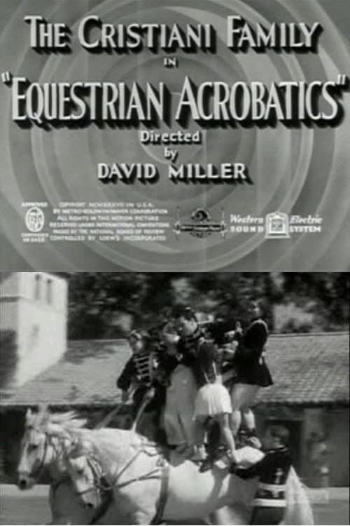 Постер: Equestrian Acrobats