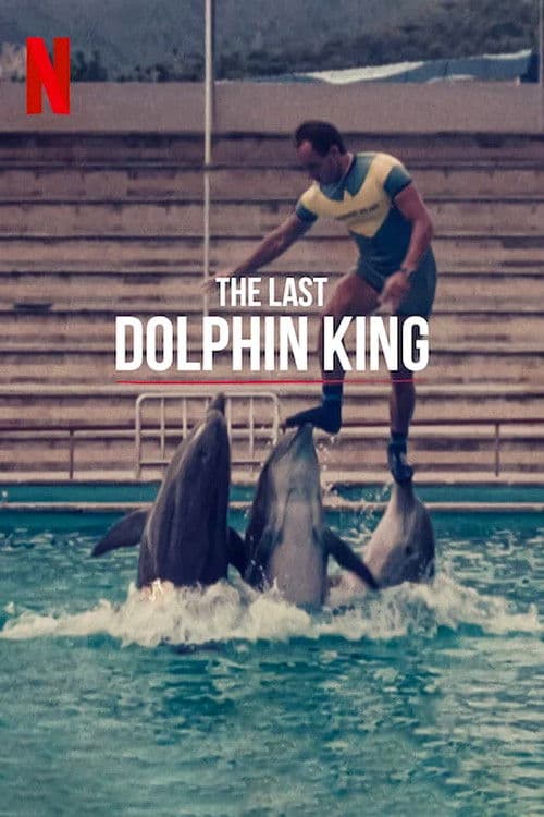 Постер: ¿Qué le pasó al rey de los delfines?