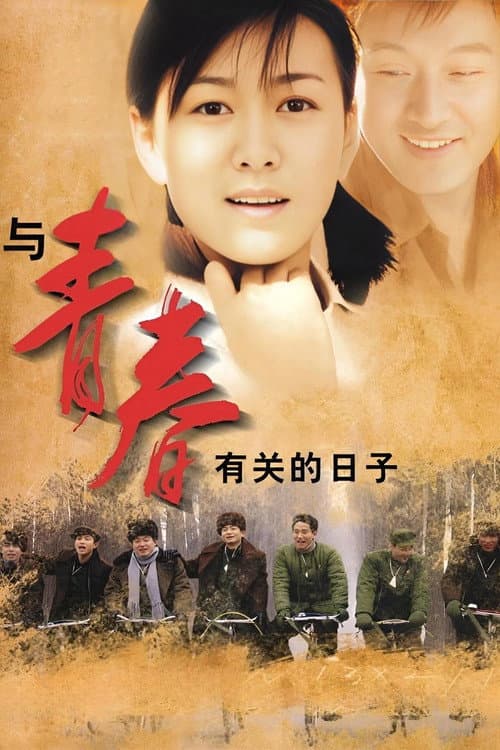 Постер: 与青春有关的日子