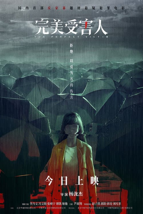 Постер: 完美受害人