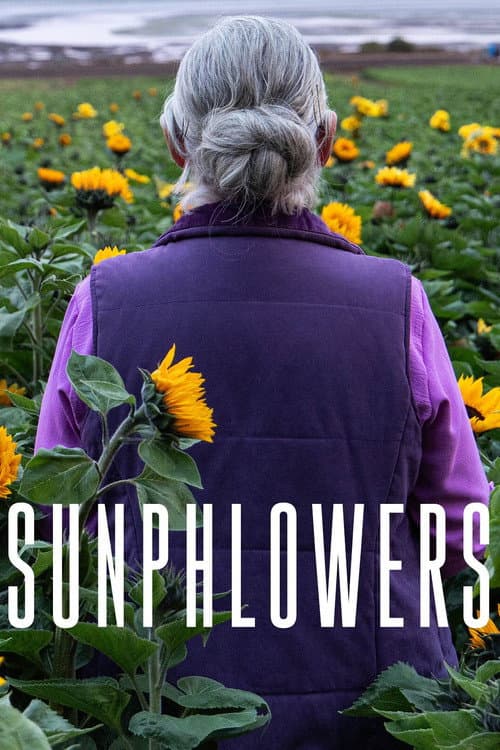 Постер: Sunphlowers