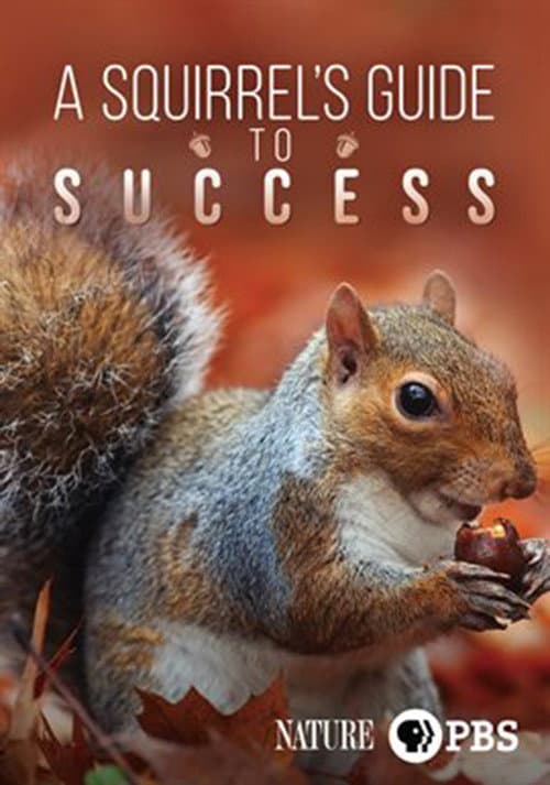 Постер: A Squirrel's Guide to Success