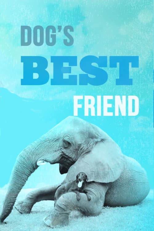 Постер: Dog's Best Friend