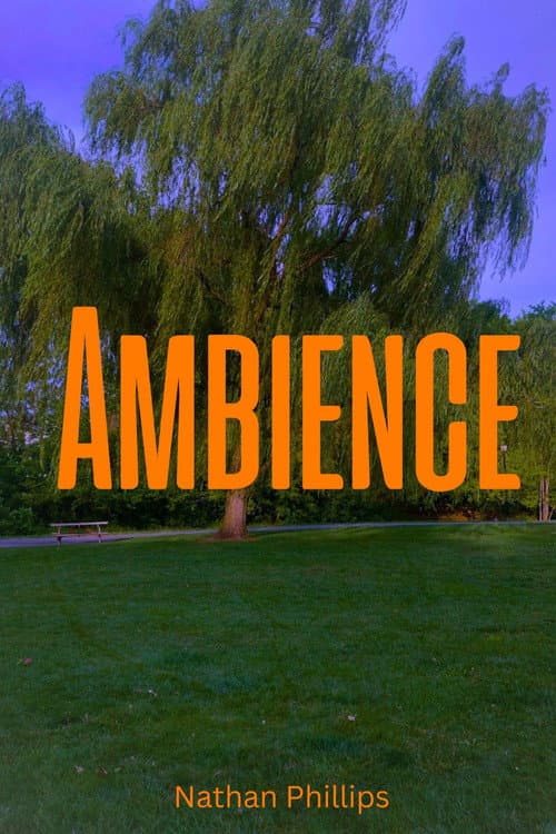 Постер: Ambience