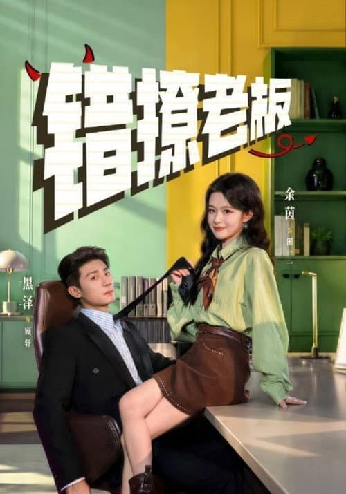 Постер: 错撩老板