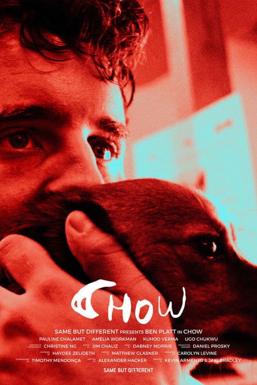 Постер: Chow