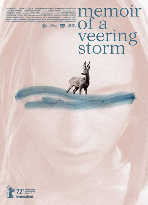 Постер: Memoir of a Veering Storm