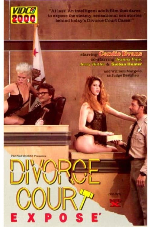 Постер: Divorce Court Expose