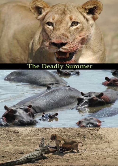 Постер: Deadly Summer