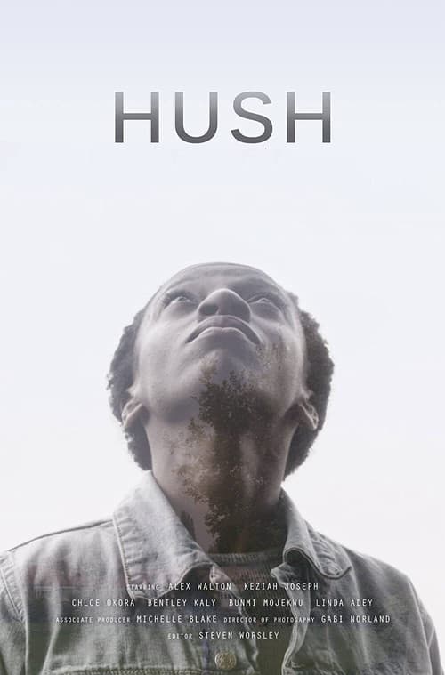 Постер: Hush