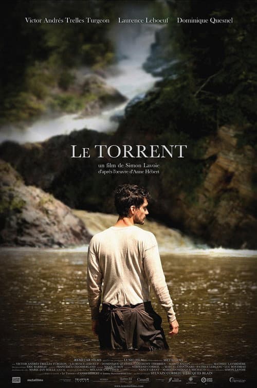 Постер: Le Torrent