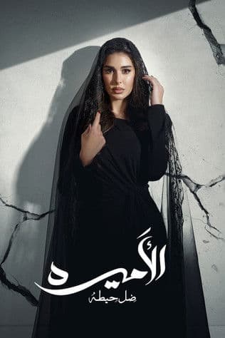 Постер: الأميرة: ظل حيطة