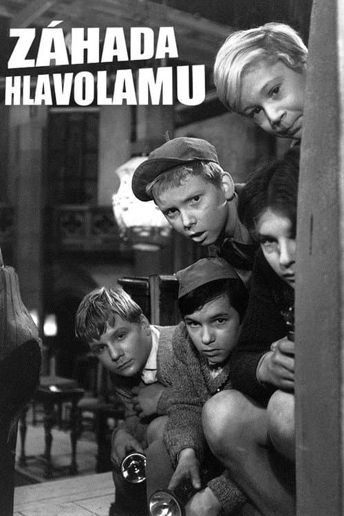 Постер: Záhada hlavolamu