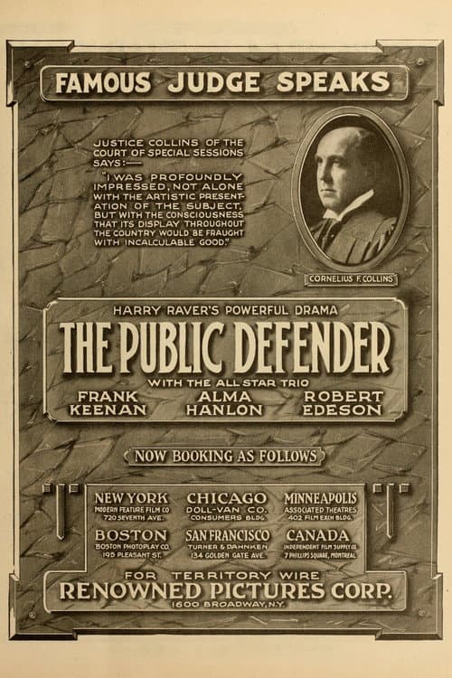 Постер: The Public Defender