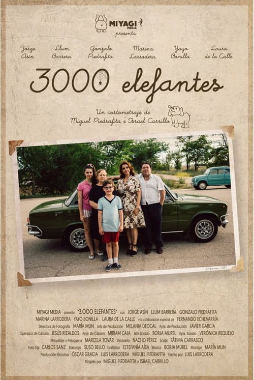 Постер: 3000 elefantes