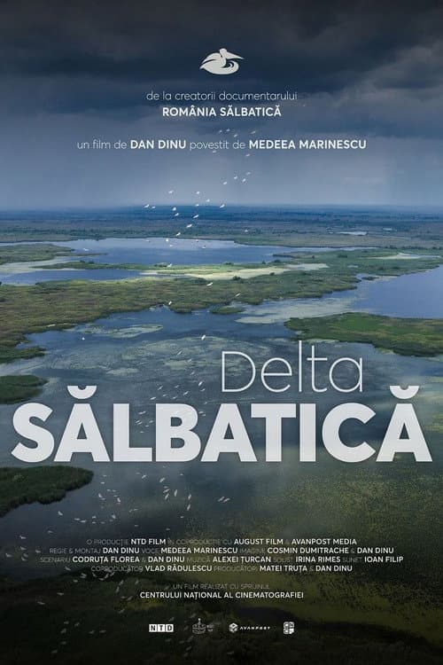 Постер: Delta Sălbatică