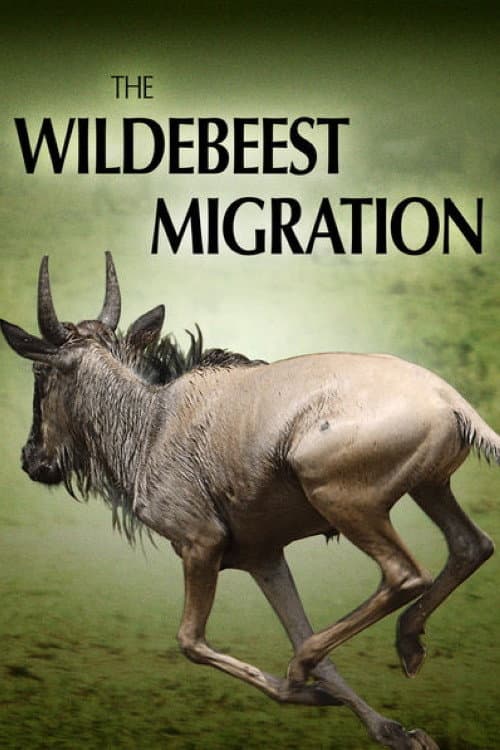 Постер: The Wildebeest Migration: Nature's Greatest Journey